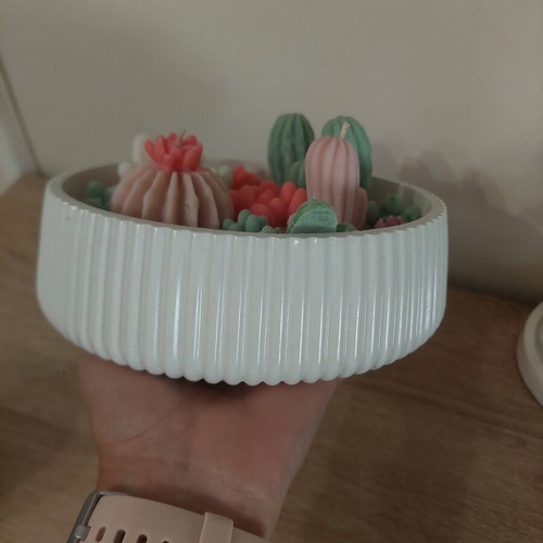 Cactus Garden Handmade Decorative Candle New, scented
