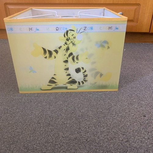 3D CHILDREN'S LIGHTING WITH WINNIE DESIGNS