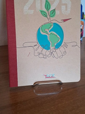Diary book new