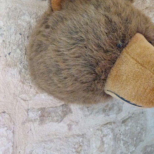 Decorative wall bear like new with furry texture