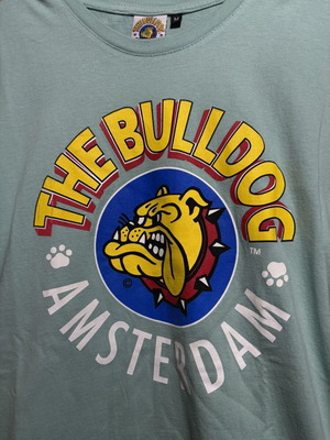 The Bulldog Amsterdam T-shirt like new, turquoise, size M