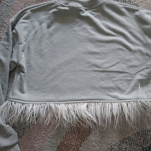 Cropped sweatshirt with ketchup print and feathers, new, gray