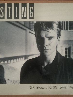 Sting The Dream Of The Blue Turtles vinyl record used, rock
