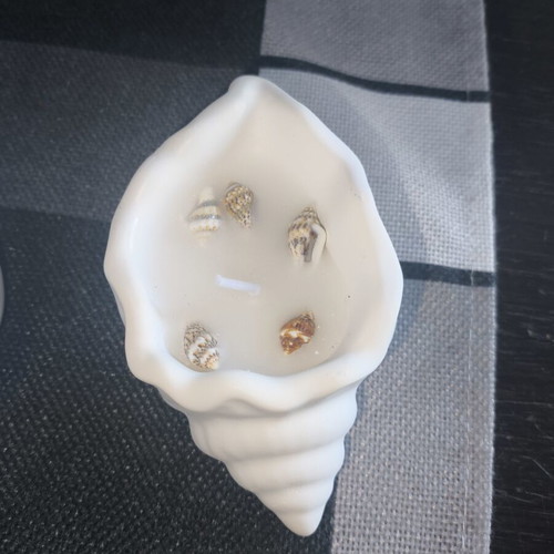 Decorative Plaster Seashells Set of 3 New