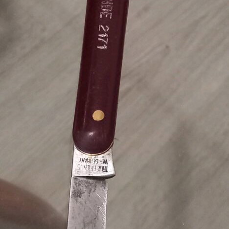 True Friends Freunde 2171 folding grafting pocket knife, West Germany