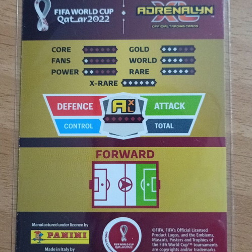 Panini World Cup Adrenalyn XL 2022 Limited Edition Nico Williams card, small size