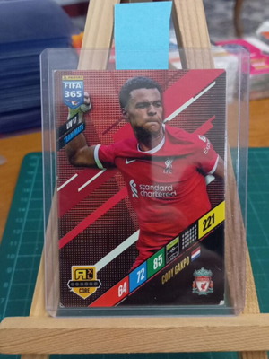 Κάρτα Panini FIFA 365 Adrenalyn XL 2024 σαν καινούργιο, LIV 17