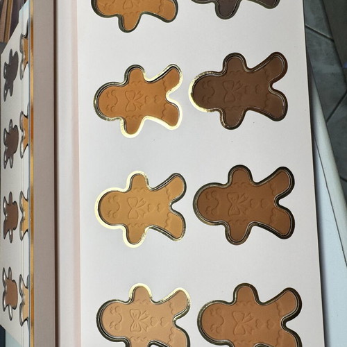 Plouise Just Roll With It Bronzer Palette new