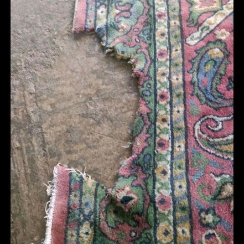 Large green carpet used
