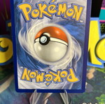Dunsparce TEF Pokemon card mint condition