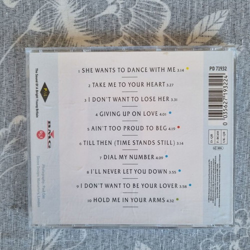 Rick Astley Hold Me In Your Arms CD like new, pop music