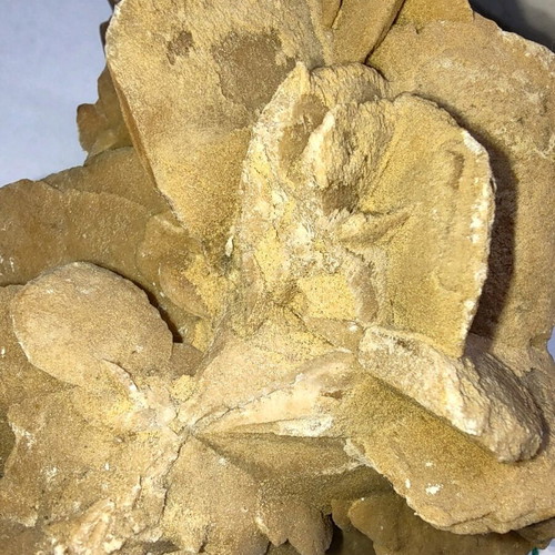 Sea amber like new