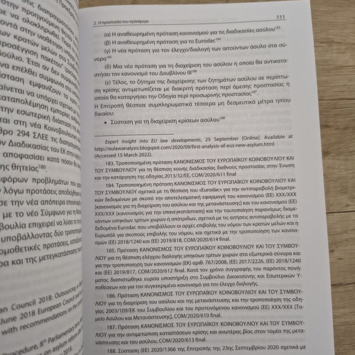 Human Rights Global and Regional Protection book like new