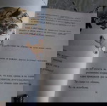  ,,Истината за бебетата" книга за деца