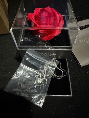 Jewelry box with rose and jewelry new, Valentine's gift