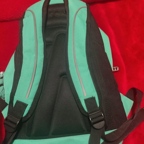 Polo backpack like new, mint color