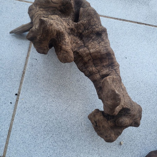 Aquarium driftwood used