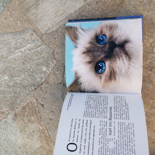 Book 1001 Cats without damage