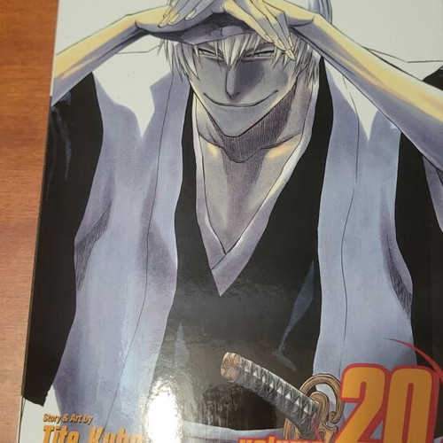 Bleach manga volume 20 like new, English