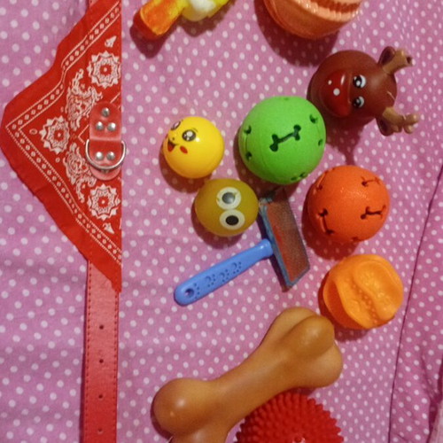Dog accessories and toys used, pack with 52 cm leash