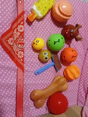 Dog accessories and toys used, pack with 52 cm leash
