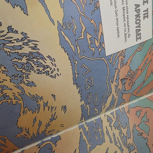 Children's Book The Polar Bear like new, educational