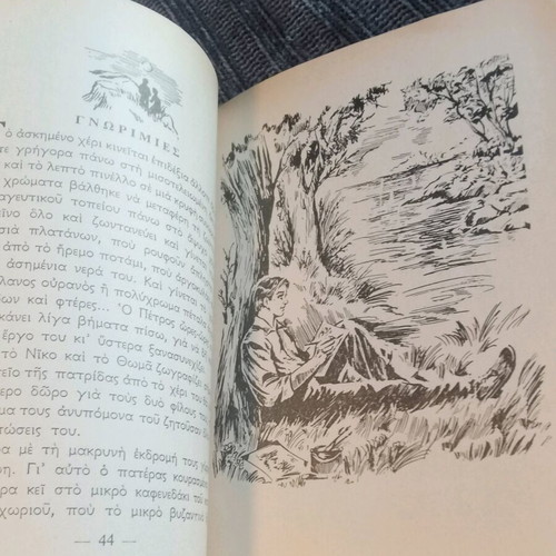 Mesa Apo Tis Floges used book, 1976 edition