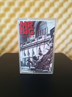 Mr. Big Lean Into It cassette tape album used
