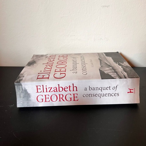 A Banquet of Consequences Elizabeth George used English book