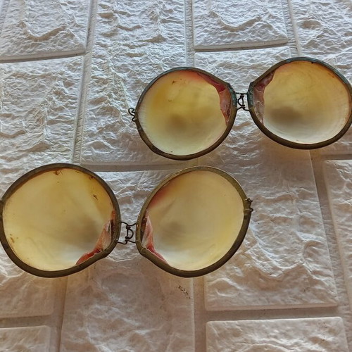 Natural Shell Set with Brass Frame, New, Pack of Two