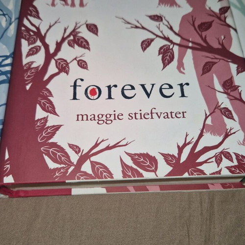 Shiver book series like new, set of 3