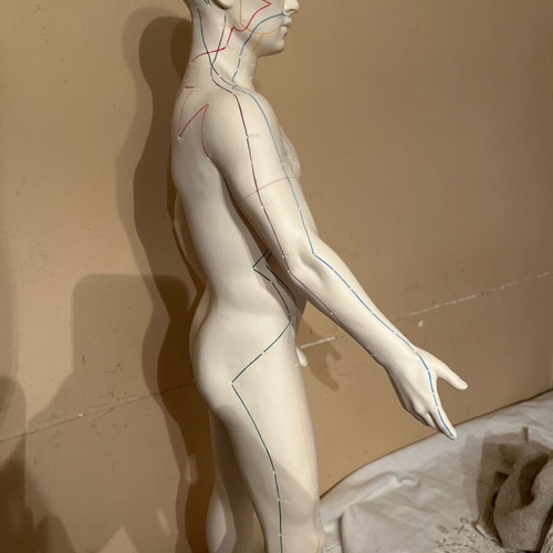 Acupuncture model like new, height 72 centimeters