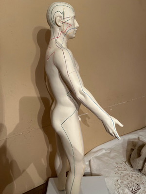 Acupuncture model like new, height 72 centimeters