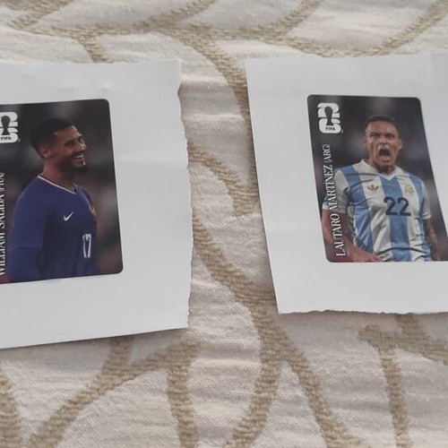 Panini football stickers 2026