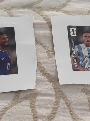 Panini football stickers 2026