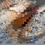  βάζω γεμάτο με κοχυλακια και κοχύλια αληθινά του τόπου..