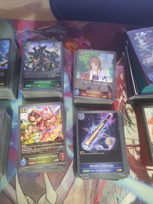 Shadowverse Evolve card collection, approx. 800 cards