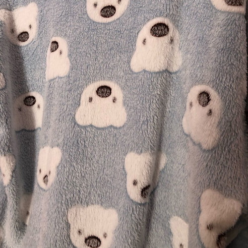 Shein fleece pajamas new, blue with bears