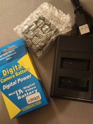 BLG-10 battery and dual charger for Lumix digital cameras