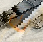  Casio Diver Ana-Digital