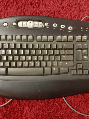 Microsoft Multimedia Keyboard 1.0A KB-0168 used with PS/2 connection