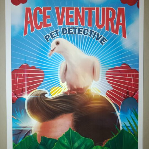 Ace Ventura Pet Detective A4 poster