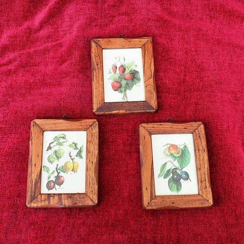 Wooden framed mini prints collection of 3, like new