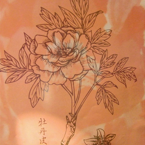 Paionia magazine used, Ancient Greek and Chinese medicine