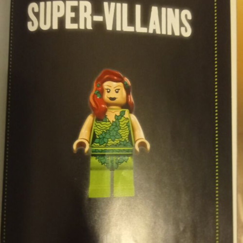 Lego Super-Villains book like new, English