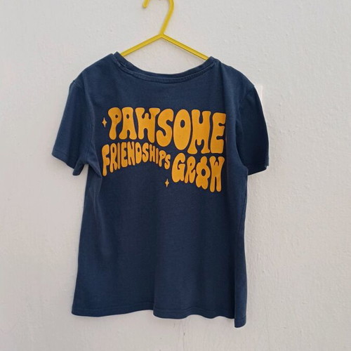 Paw Patrol kids t-shirt Sinsay used, size 122, blue