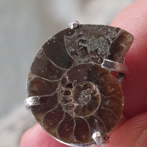 Ring fossilised ammonite silver plated size USA 5-5.5 new