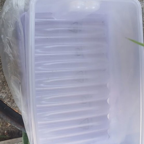 Tupperware set of 2 with eye holes, new