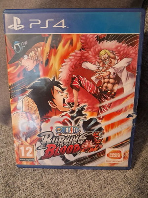 Burning Blood PlayStation 4 used, compatible with PS5