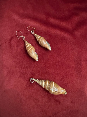 Shell earrings and pendant set like new